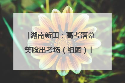 湖南新田：高考落幕 笑脸出考场（组图）