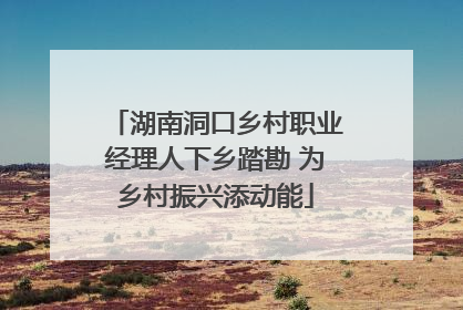 湖南洞口乡村职业经理人下乡踏勘 为乡村振兴添动能