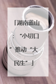 湖南蓝山：“小切口”推动“大民生”