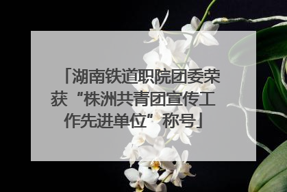 湖南铁道职院团委荣获“株洲共青团宣传工作先进单位”称号