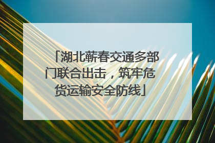 湖北蕲春交通多部门联合出击，筑牢危货运输安全防线