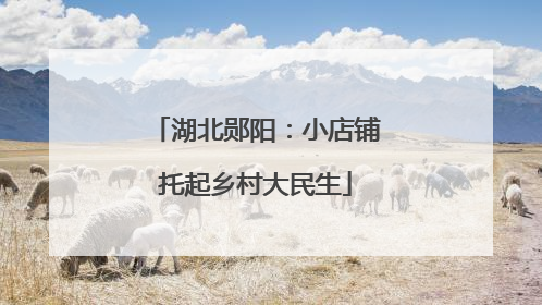 湖北郧阳：小店铺托起乡村大民生