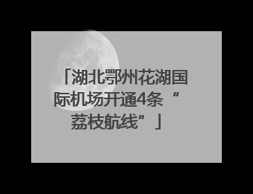 湖北鄂州花湖国际机场开通4条“荔枝航线”