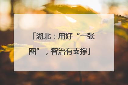 湖北：用好“一张图”，智治有支撑