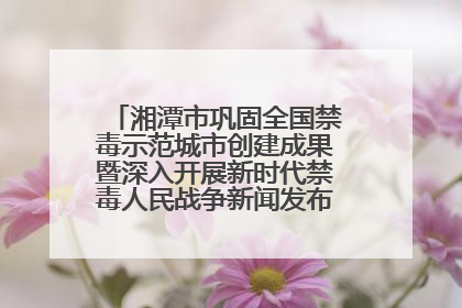 湘潭市巩固全国禁毒示范城市创建成果暨深入开展新时代禁毒人民战争新闻发布会答记者问摘录