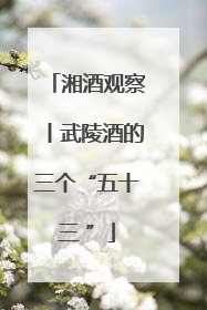 湘酒观察丨武陵酒的三个“五十三 ”