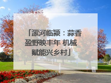 漯河临颍：蒜香盈野映丰年 机械赋能兴乡村