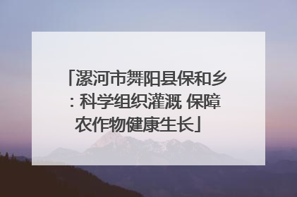 漯河市舞阳县保和乡：科学组织灌溉 保障农作物健康生长