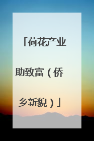 荷花产业助致富（侨乡新貌）
