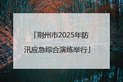 荆州市2025年防汛应急综合演练举行