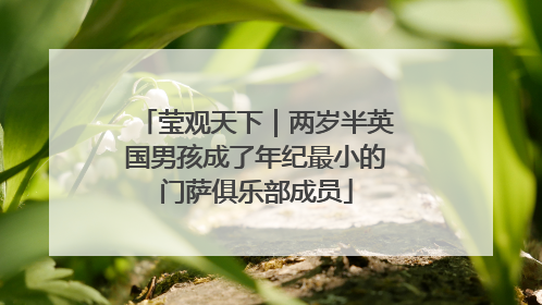 莹观天下｜两岁半英国男孩成了年纪最小的门萨俱乐部成员