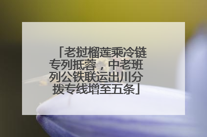 老挝榴莲乘冷链专列抵蓉，中老班列公铁联运出川分拨专线增至五条