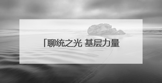 聊统之光 基层力量丨李云：用脚步丈量数据 用责任守护真实