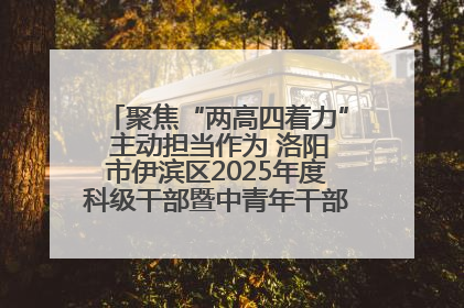 聚焦“两高四着力” 主动担当作为 洛阳市伊滨区2025年度科级干部暨中青年干部培训班开班