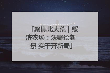 聚焦北大荒｜绥滨农场：沃野绘新景 实干开新局