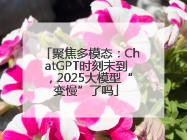 聚焦多模态：ChatGPT时刻未到，2025大模型“变慢”了吗