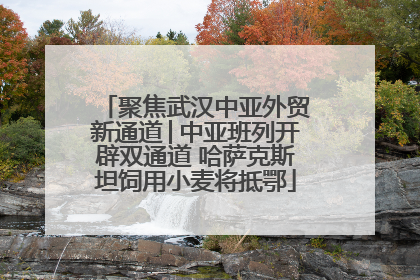 聚焦武汉中亚外贸新通道│中亚班列开辟双通道 哈萨克斯坦饲用小麦将抵鄂