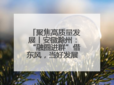 聚焦高质量发展丨安徽滁州：“融圈进群”借东风，当好发展“合伙人”