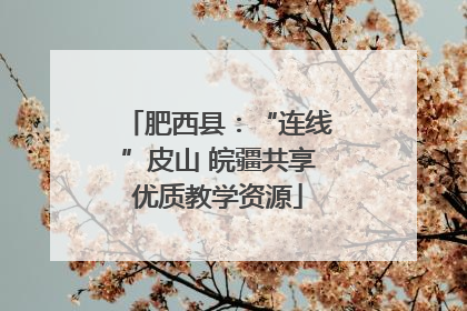 肥西县：“连线”皮山 皖疆共享优质教学资源