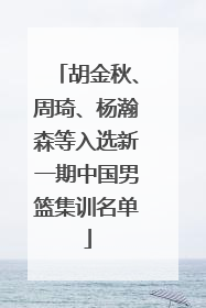 胡金秋、周琦、杨瀚森等入选新一期中国男篮集训名单