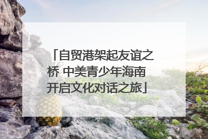 自贸港架起友谊之桥 中美青少年海南开启文化对话之旅