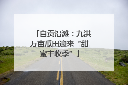 自贡沿滩：九洪万亩瓜田迎来“甜蜜丰收季”