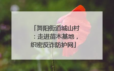 舞阳街道城山村：走进苗木基地，织密反诈防护网