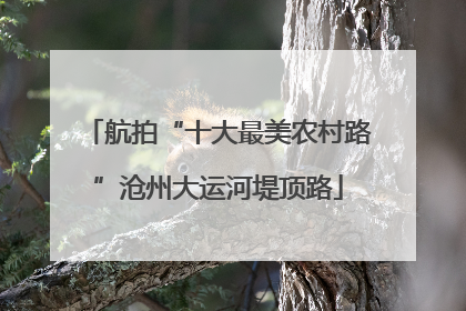 航拍“十大最美农村路”沧州大运河堤顶路