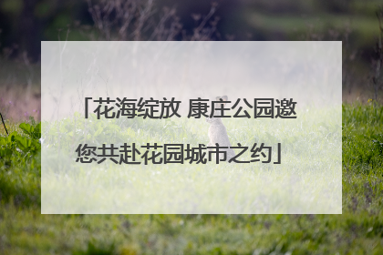花海绽放 康庄公园邀您共赴花园城市之约