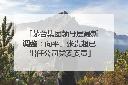 茅台集团领导层最新调整：向平、张贵超已出任公司党委委员