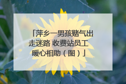萍乡一男孩赌气出走迷路 收费站员工暖心相助（图）