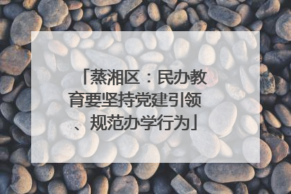 蒸湘区：民办教育要坚持党建引领、规范办学行为