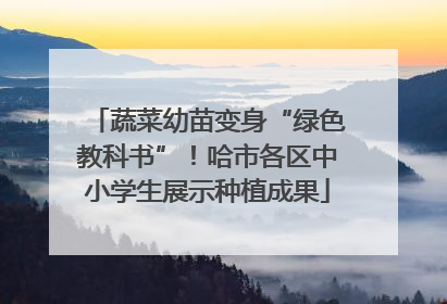蔬菜幼苗变身“绿色教科书”！哈市各区中小学生展示种植成果