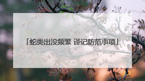 蛇类出没频繁 谨记防范事项