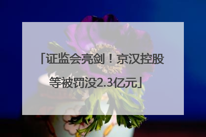 证监会亮剑！京汉控股等被罚没2.3亿元