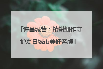 许昌城管：精耕细作守护夏日城市美好容颜
