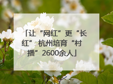 让“网红”更“长红” 杭州培育“村播”2600余人
