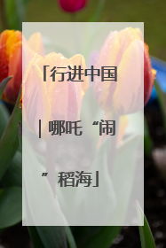 行进中国｜哪吒“闹”稻海