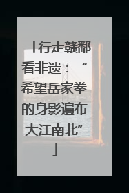 行走赣鄱看非遗：“希望岳家拳的身影遍布大江南北”
