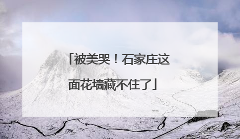 被美哭！石家庄这面花墙藏不住了