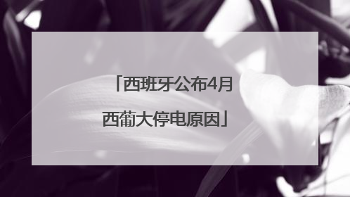 西班牙公布4月西葡大停电原因