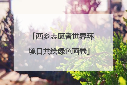 西乡志愿者世界环境日共绘绿色画卷