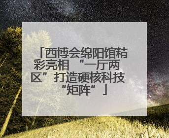 西博会绵阳馆精彩亮相 “一厅两区”打造硬核科技“矩阵”