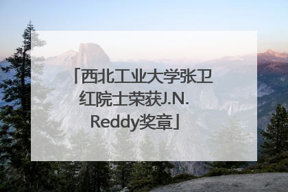 西北工业大学张卫红院士荣获J.N.Reddy奖章