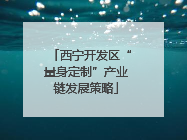 西宁开发区“量身定制”产业链发展策略