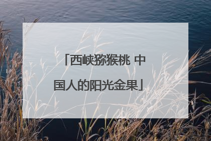 西峡猕猴桃 中国人的阳光金果