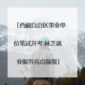 西藏自治区事业单位笔试开考 林芝就业服务亮点频现