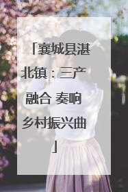 襄城县湛北镇：三产融合 奏响乡村振兴曲