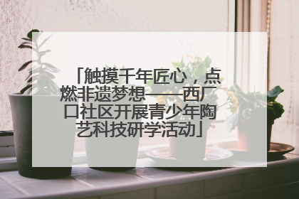 触摸千年匠心，点燃非遗梦想——西厂口社区开展青少年陶艺科技研学活动
