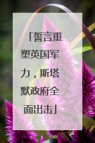 誓言重塑英国军力，斯塔默政府全面出击